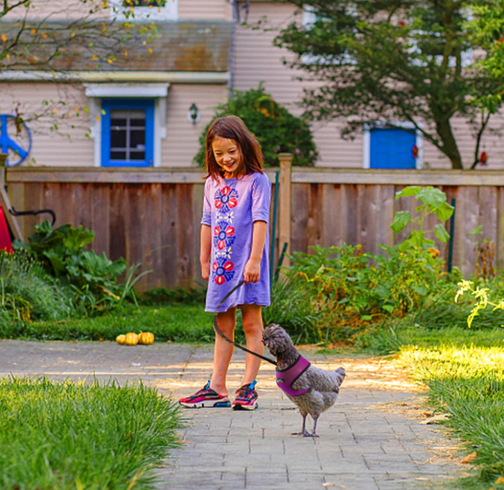 Adjustable Poultry Harness and Leash - Sprinting Home