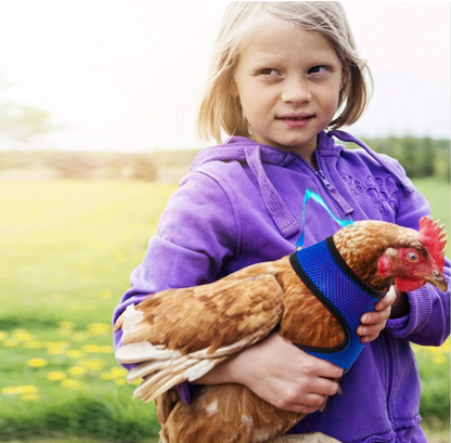 Adjustable Poultry Harness and Leash - Sprinting Home