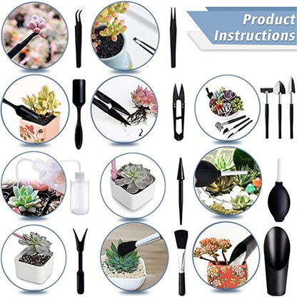 Succulent Plants Tool Set - Sprinting Home