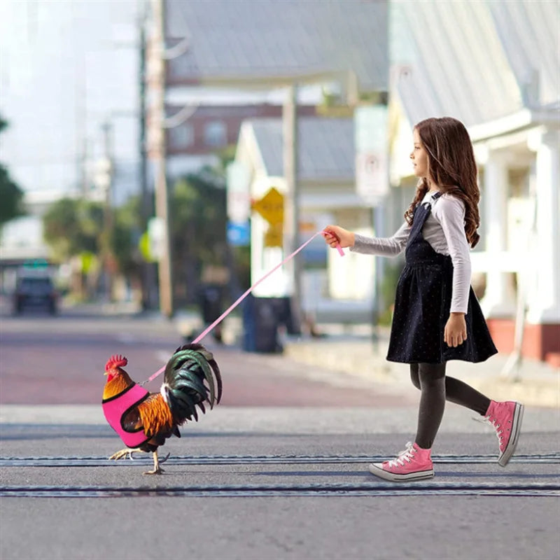 Adjustable Poultry Harness and Leash - Sprinting Home