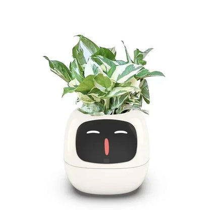 Ivy Smart Planter