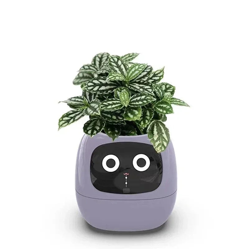 Ivy Smart Planter